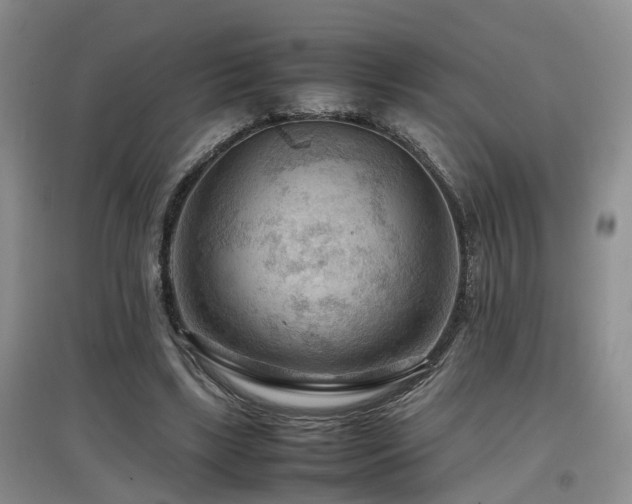 X0000097920443200803141445