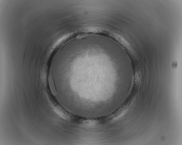 X0000097920444200803141445