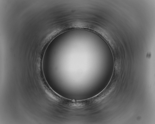 X0000097920445200803141445