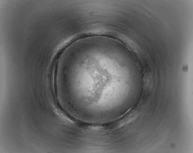 X0000097920446200803141445