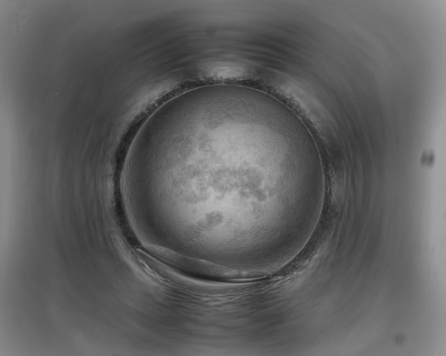 X0000097920447200803141445