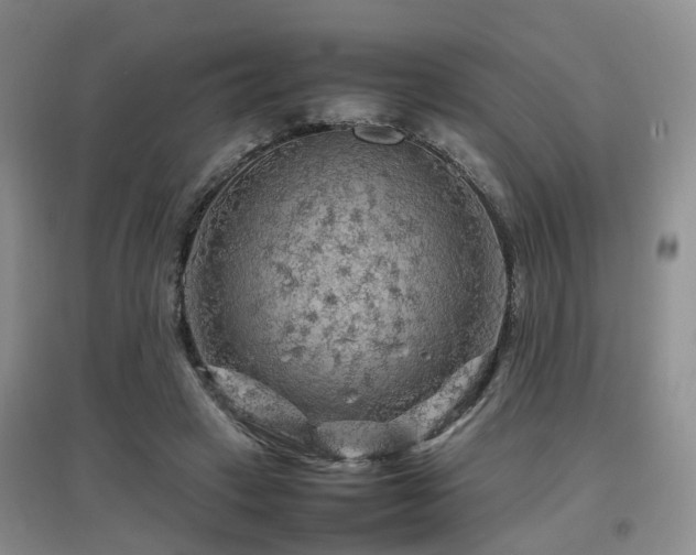 X0000097920449200803141445