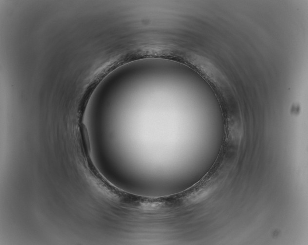 X0000097920450200803141445