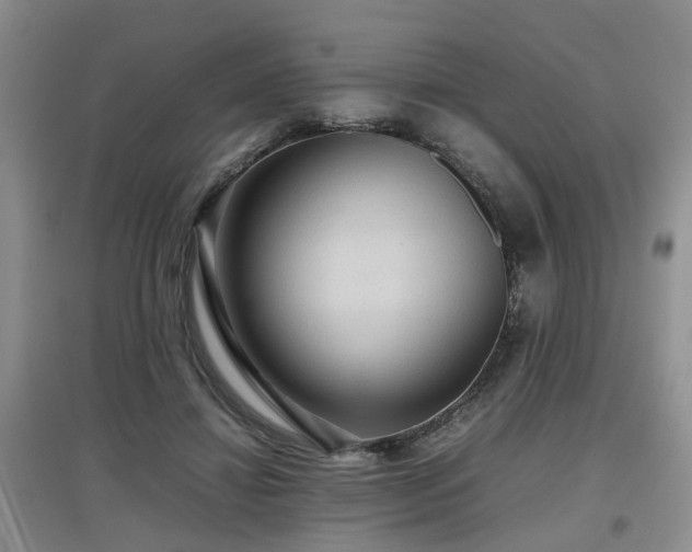 X0000097920452200803141445