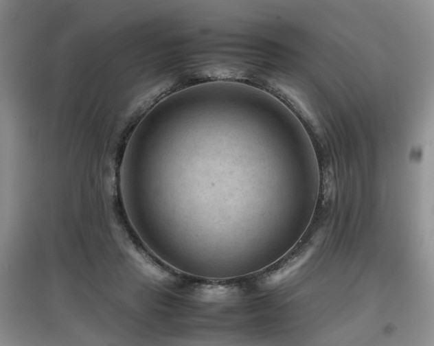 X0000097920453200803141445