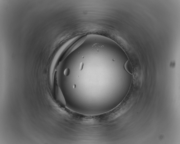 X0000097920454200803141445