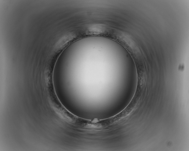 X0000097920455200803141445