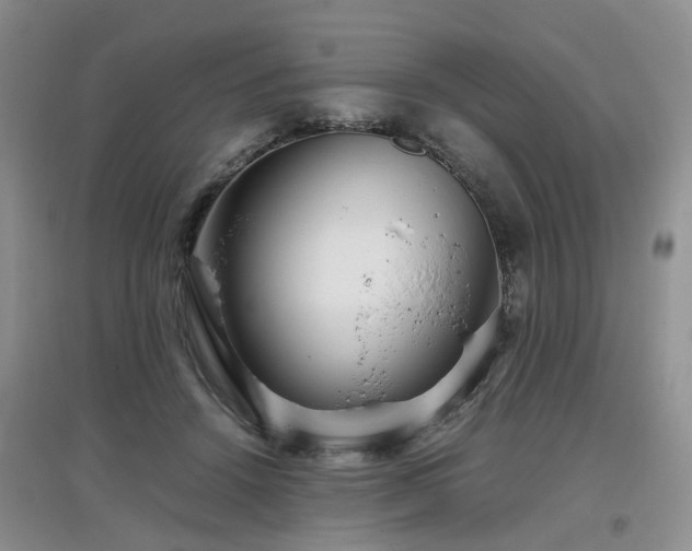 X0000097920456200803141445