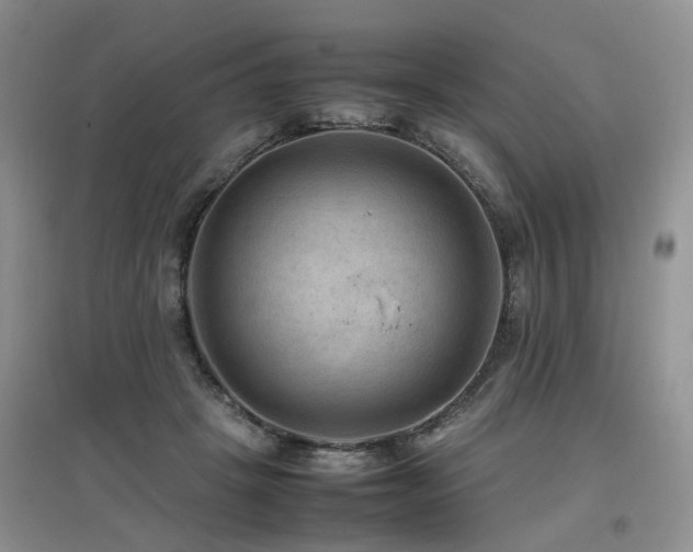 X0000097920457200803141445