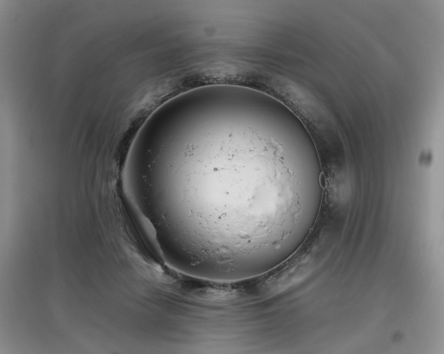 X0000097920458200803141445