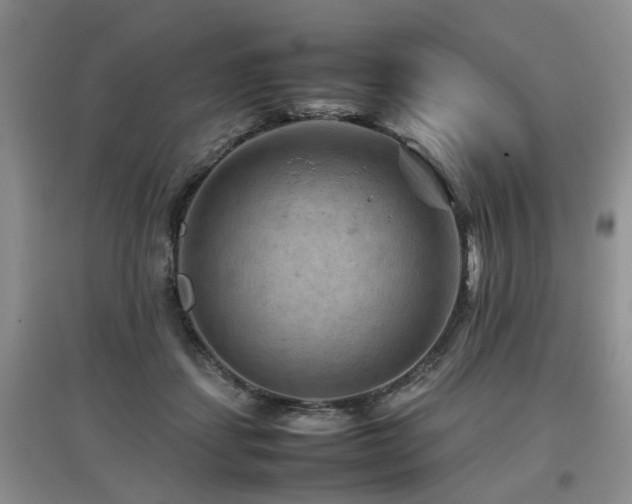 X0000097920459200803141445