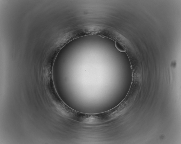 X0000097920460200803141445