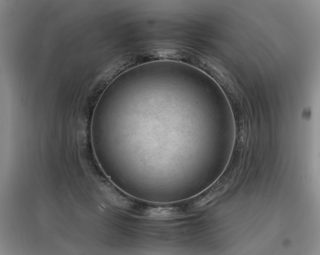 X0000097920461200803141445