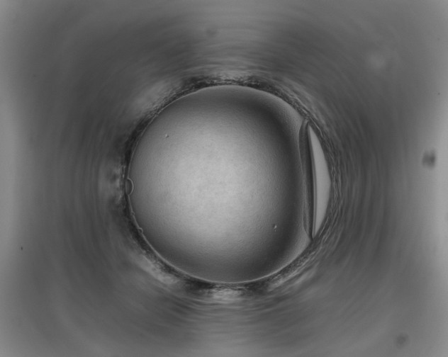 X0000097920462200803141445