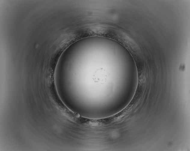 X0000097920464200803141445