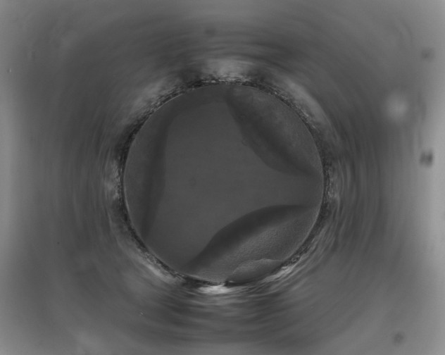 X0000097920465200803141445