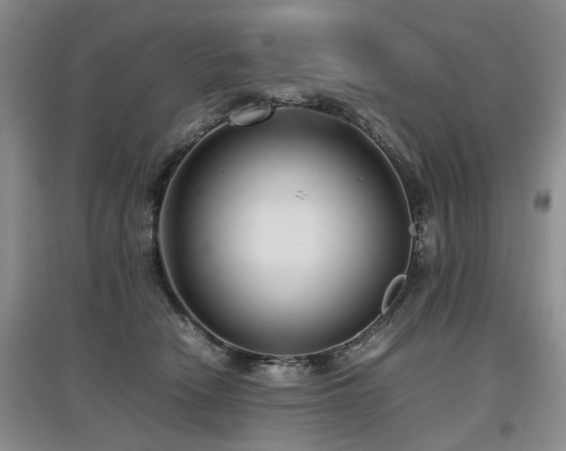X0000097920466200803141445