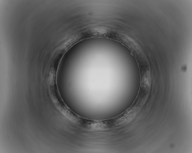 X0000097920468200803141445