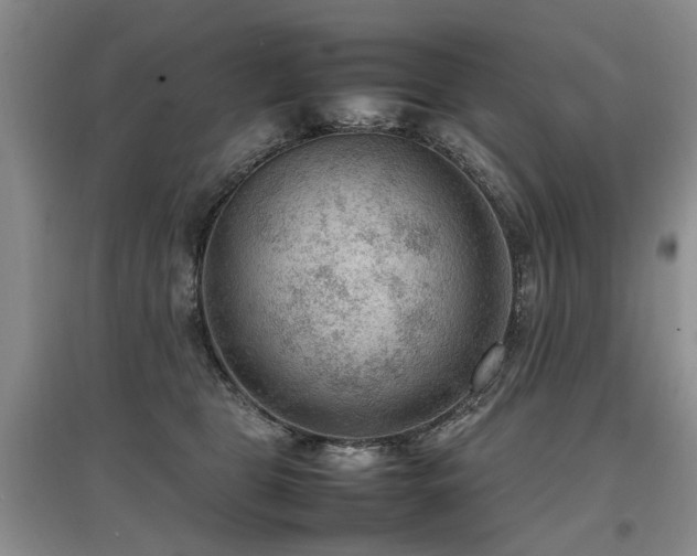 X0000097920469200803141445