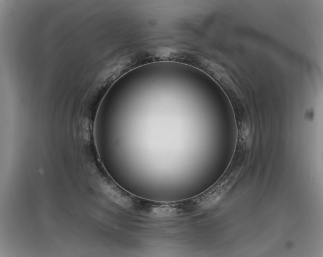 X0000097920470200803141445