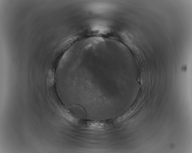 X0000097920471200803141445