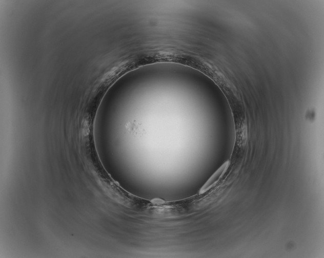 X0000097920472200803141445