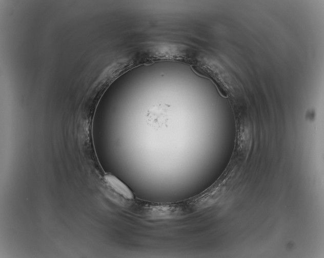 X0000097920473200803141445