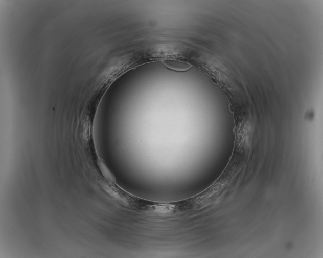 X0000097920474200803141445