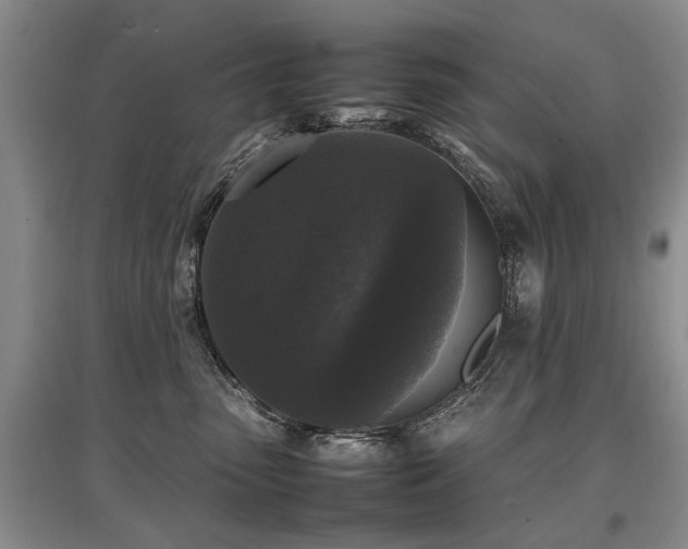 X0000097920475200803141445