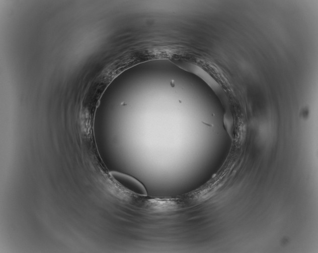 X0000097920477200803141445