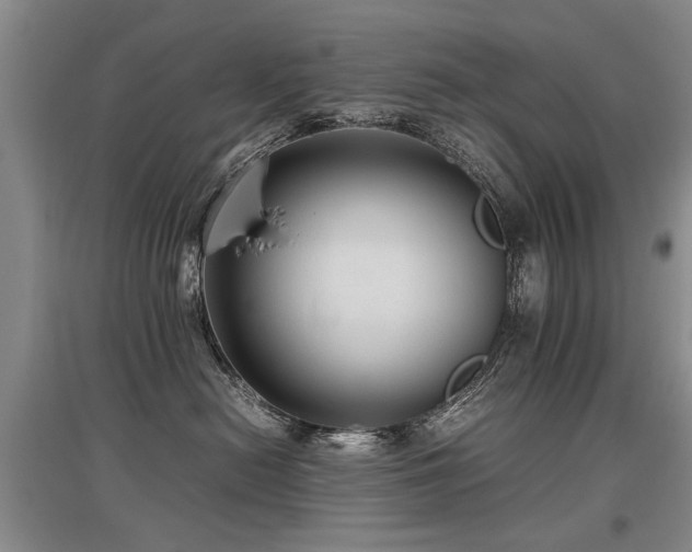 X0000097920478200803141445