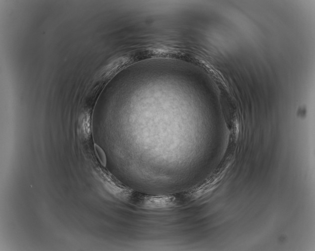X0000097920479200803141445