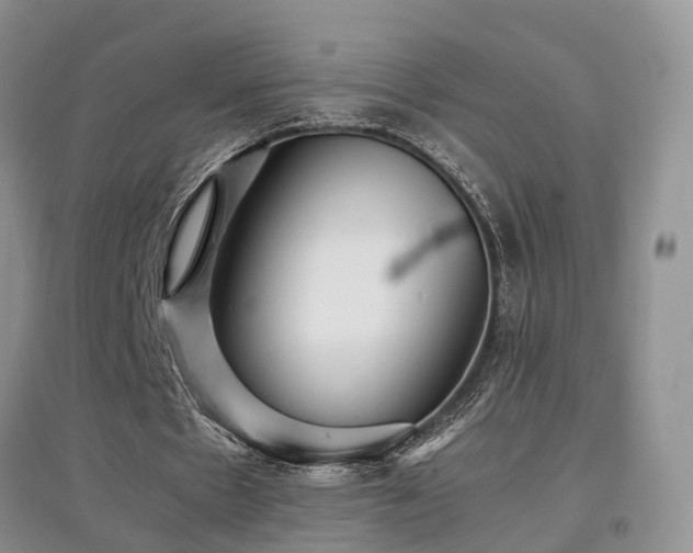 X0000097920481200803141444