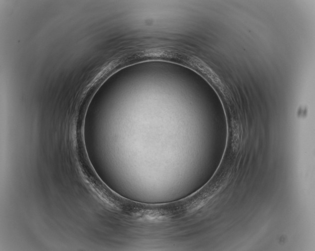 X0000097920482200803141444