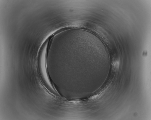 X0000097920484200803141444