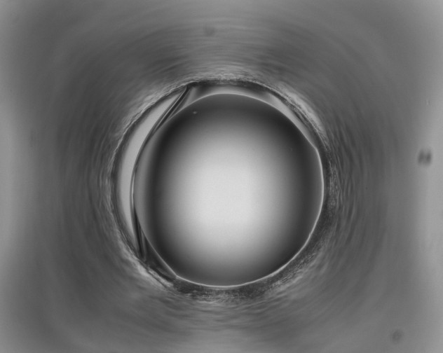 X0000097920485200803141444