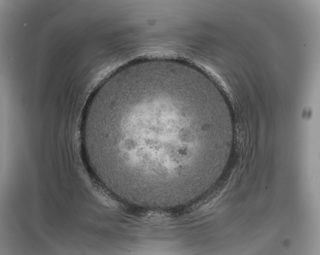 X0000097920487200803141444