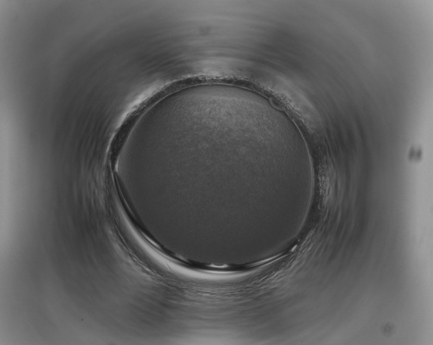 X0000097920488200803141444