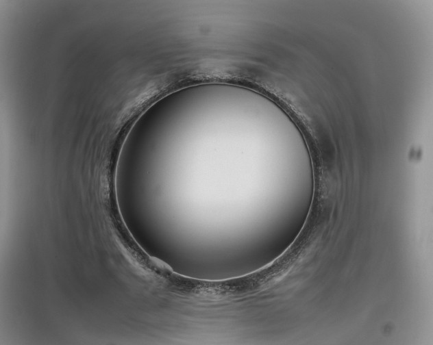 X0000097920489200803141444