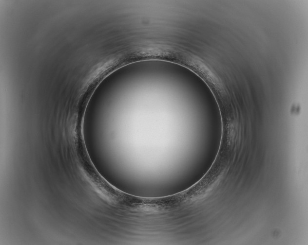 X0000097920490200803141444