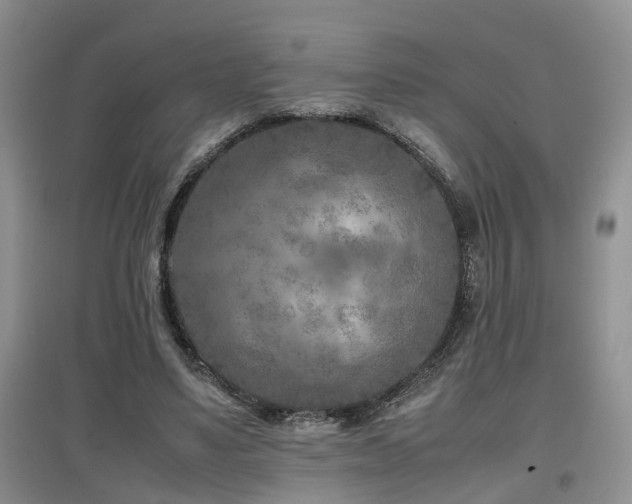 X0000097920491200803141444