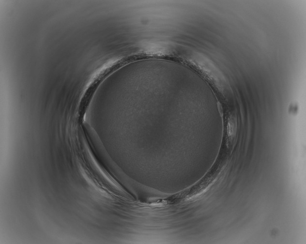 X0000097920492200803141444