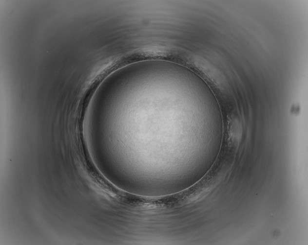 X0000097920494200803141444