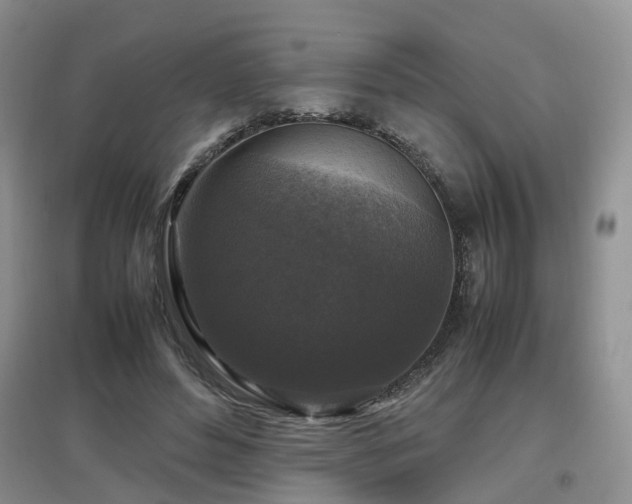 X0000097920496200803141444