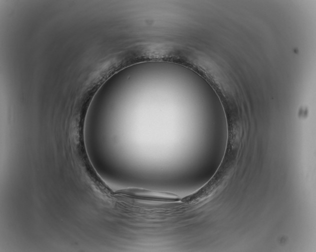 X0000097920497200803141444