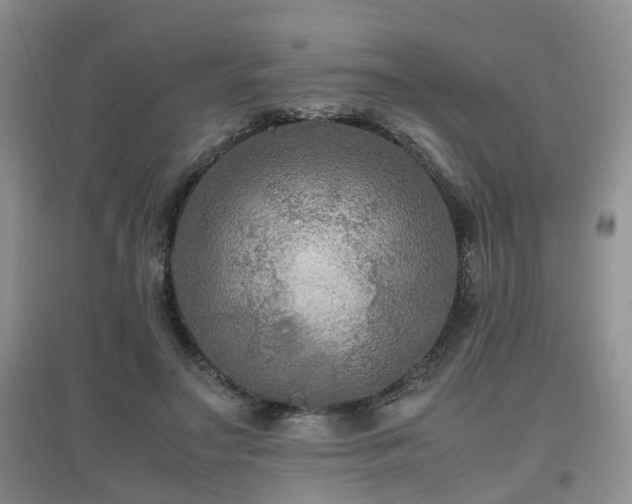 X0000097920499200803141444