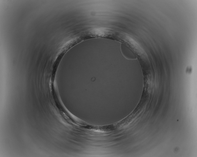 X0000097920500200803141444