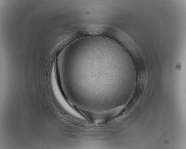 X0000097920501200803141444