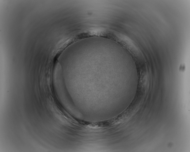 X0000097920502200803141444