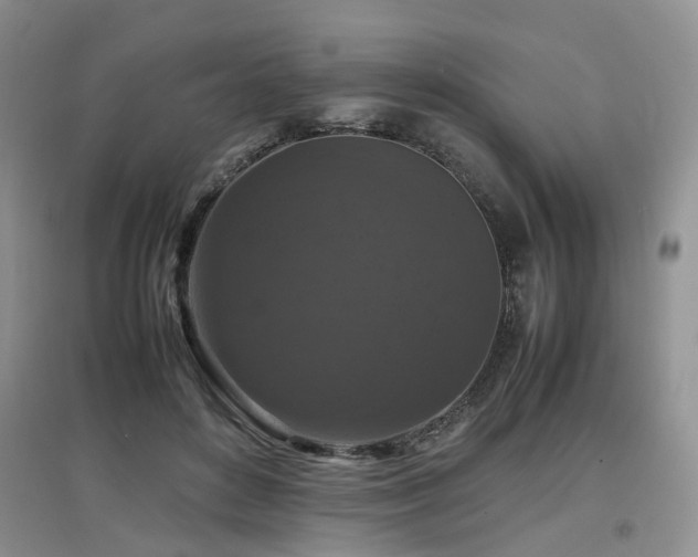 X0000097920504200803141444